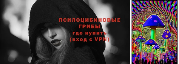 дмт Зеленокумск