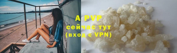 амф Зерноград