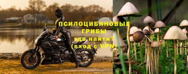 метадон Зеленодольск