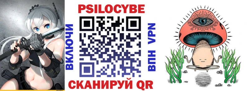 Купить где  Бирск  Псилоцибиновые грибы мицелий 